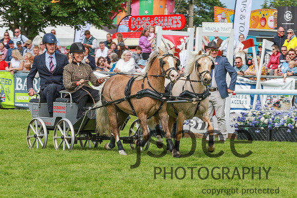 JOE_0938