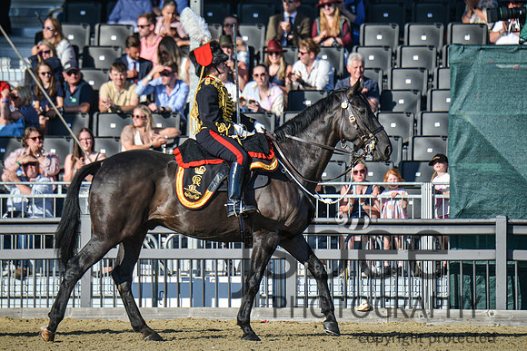 DSC_7072-17