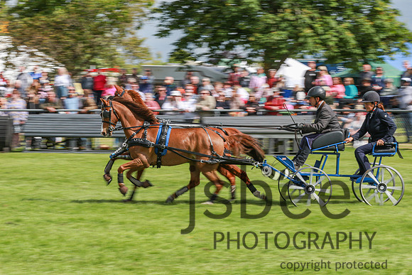 JOE_0959