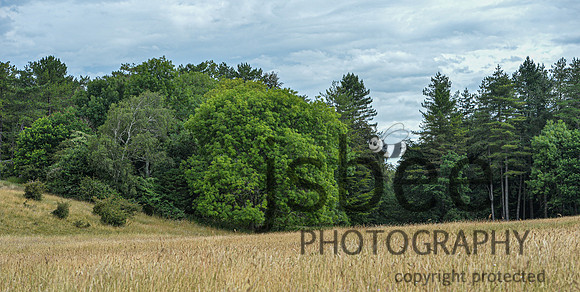 DSB_9384-2