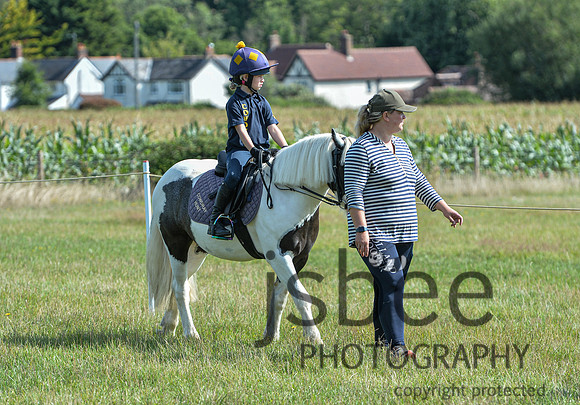 DSB_0979-2