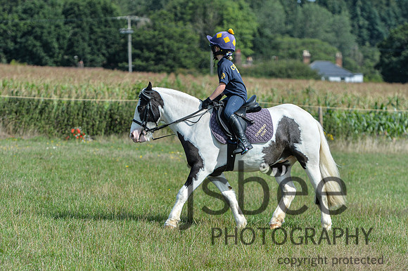 DSB_0986-8
