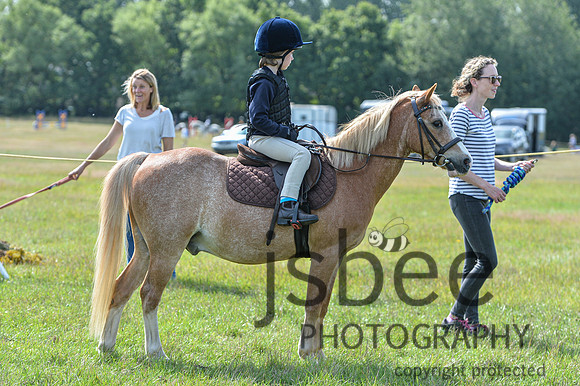 DSB_0991-12