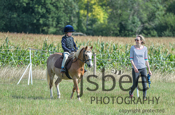 DSB_0984-6