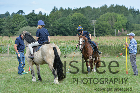 DSB_1249-212