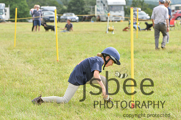 DSB_2623-314