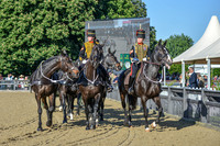 DSC_7047-6