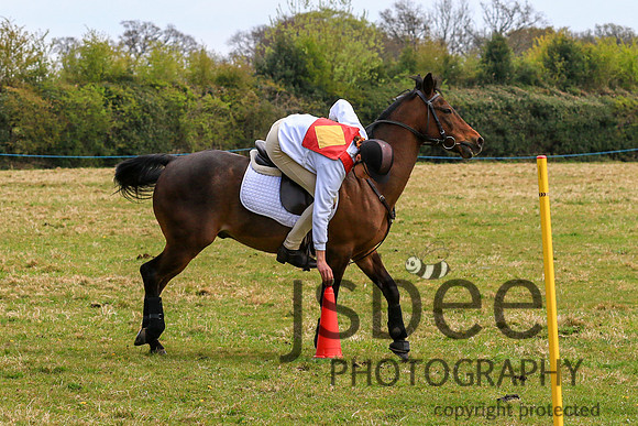 JOE_3561