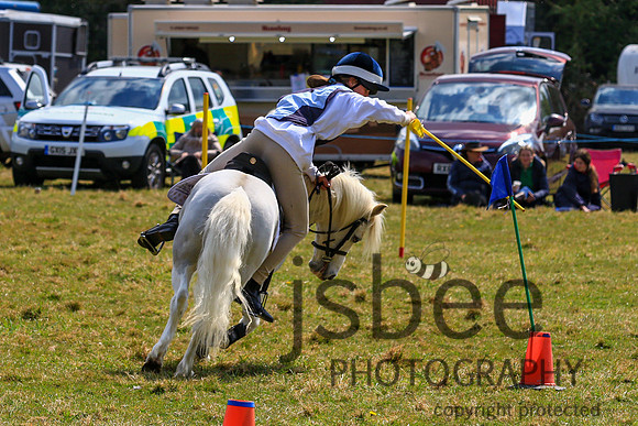JOE_3682