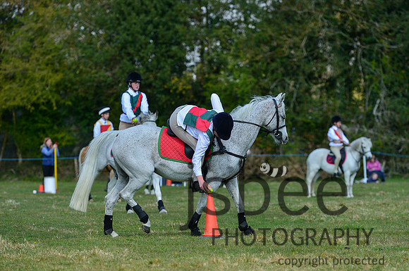 DSB_8411-264