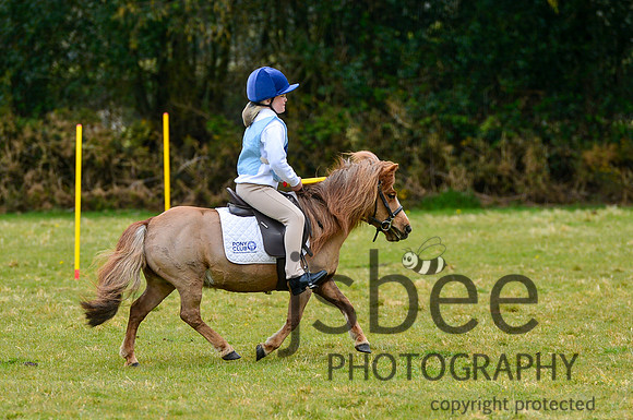 DSB_8561-401