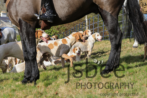 JOB_3970