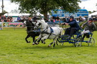 JOE_0479