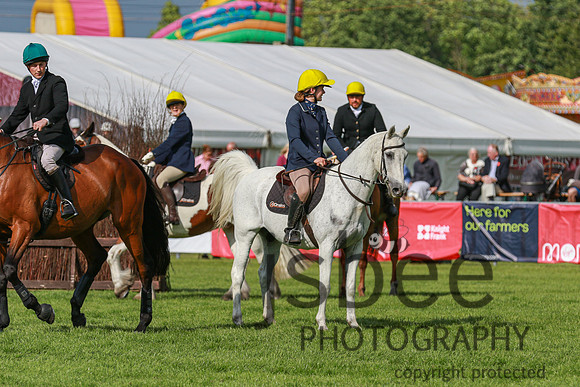 JOE_0353
