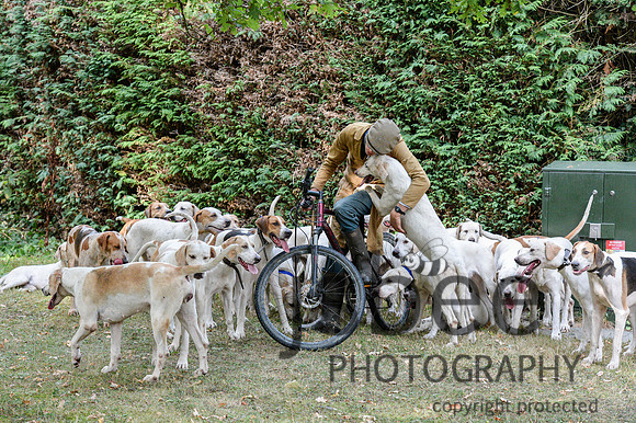 DSC_5340-62