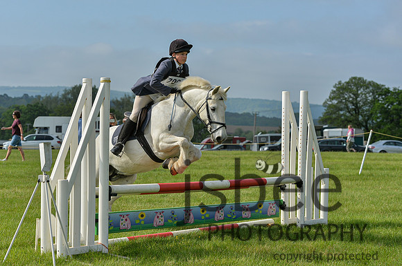 DSB_1538-3