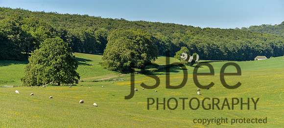 DSB_3479-1