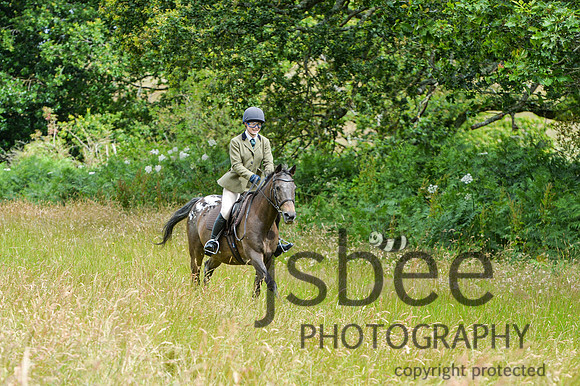 DSB_0309-55