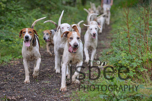 DSB_5388-79