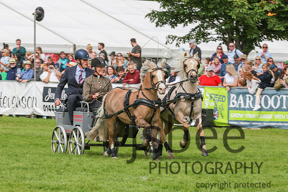 JOE_0935