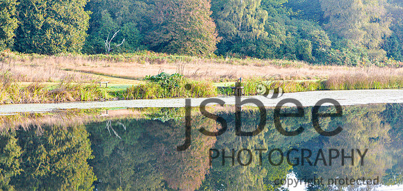 DSB_5911-54