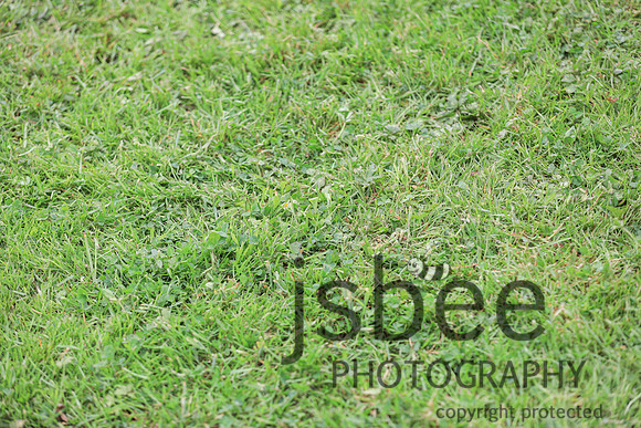 JOB_1825