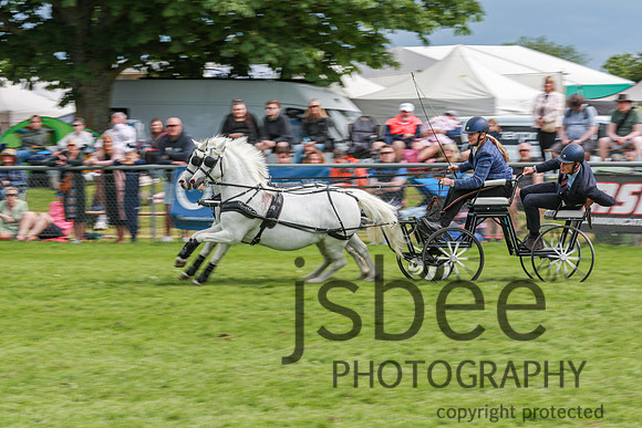JOE_0876
