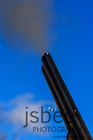 JOE_2954