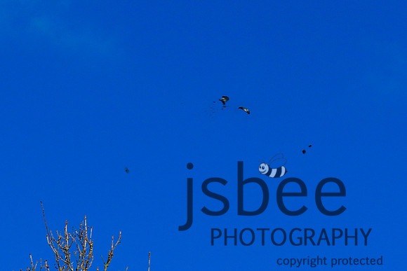 JOE_2984