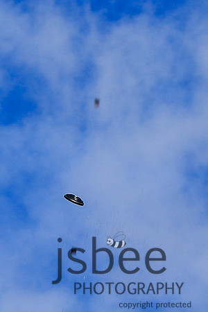 JOE_3041