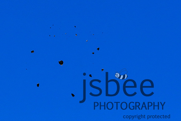 JOE_3368