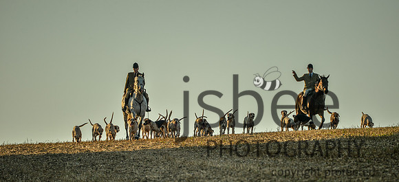 DSB_9005-52low res