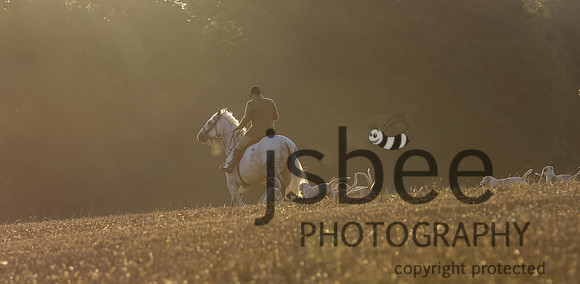 JOE_1091