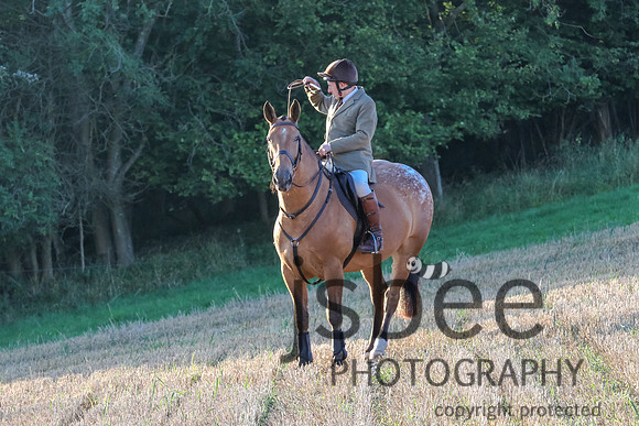 JOE_1105