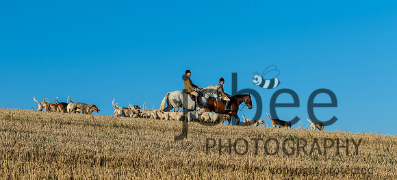 JOE_1153