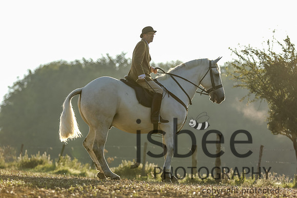JOE_1181
