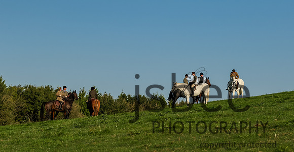 JOE_1185