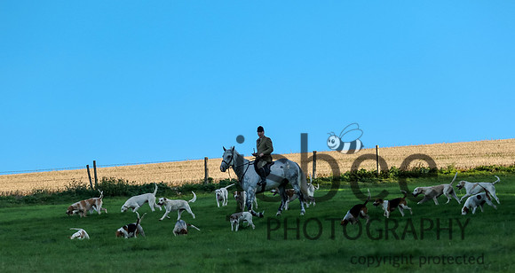 JOE_1191