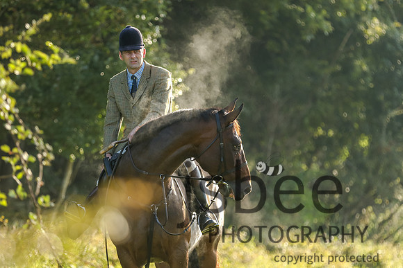 JOE_1196