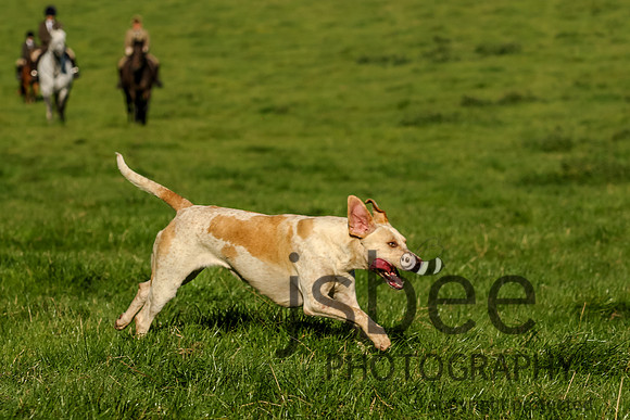 JOE_1209