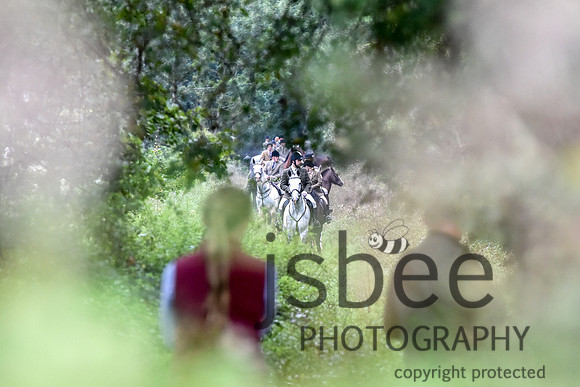 SLB_7421-29