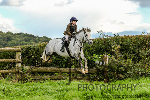 JOE_1535