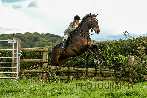 JOE_1553
