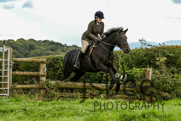 JOE_1564
