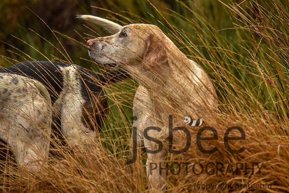 SLB_2265-13