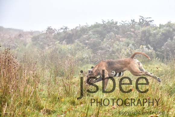 SLB_1678-29