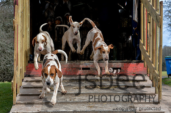 DSB_9466-19
