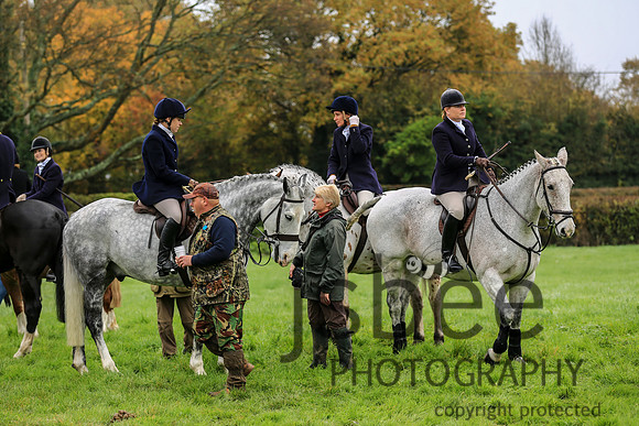 AAJ_4135
