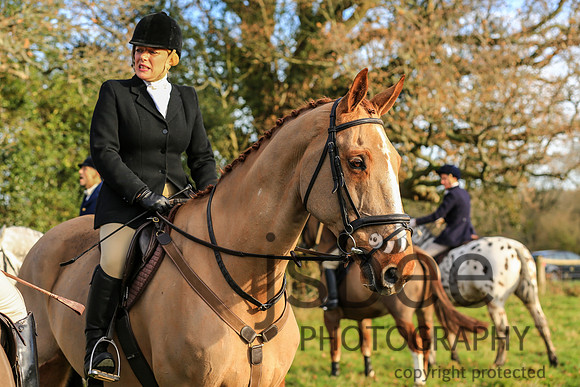 AAJ_5048