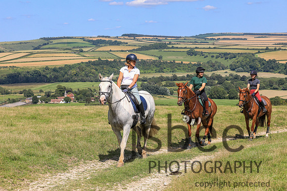 JOB_5199